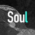 Soul2024最新版