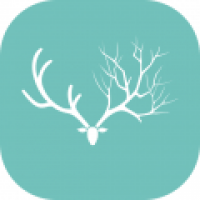 麋鹿森林官方正版下载-麋鹿森林正式版下载v1.0.8
