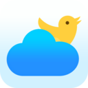 喜鹊天气app下载-喜鹊天气安卓版下载v1.0.0