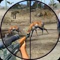 野外动物打靶游戏下载-野外动物打靶(Wild Animal Shooting)最新版下载v1.8