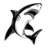 鲨鱼TV弹幕版下载-鲨鱼TV官方版下载v5.2.1