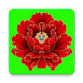 绿植花卉app下载-绿植花卉最新版下载v10.0.2